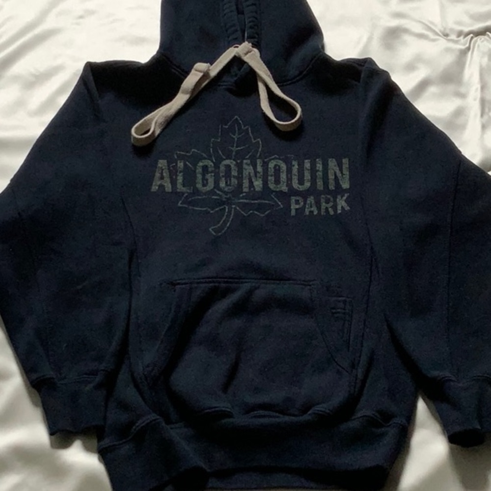 Algonquin Park hoodie,size medium, blue in colour…🌺